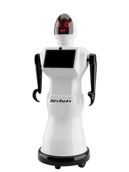Acubotz Autonomous Humanoid Robot