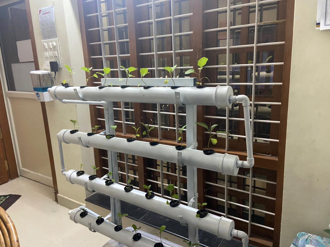 Hydroponics