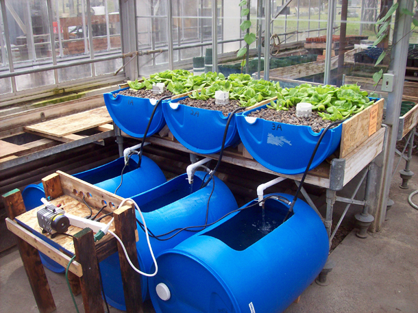Aquaponics - Automation